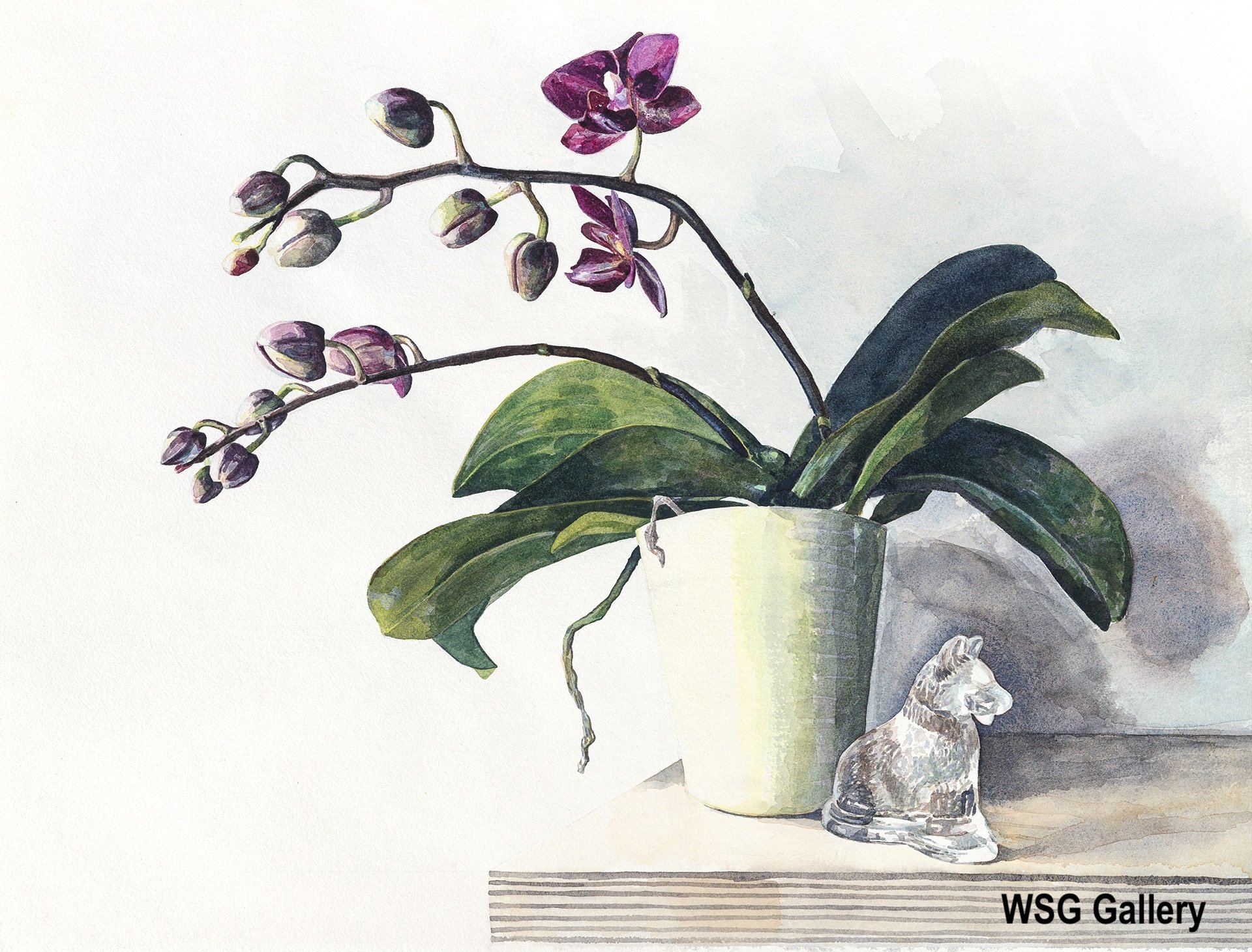 Orchid on Shelf,V Mann.jpg